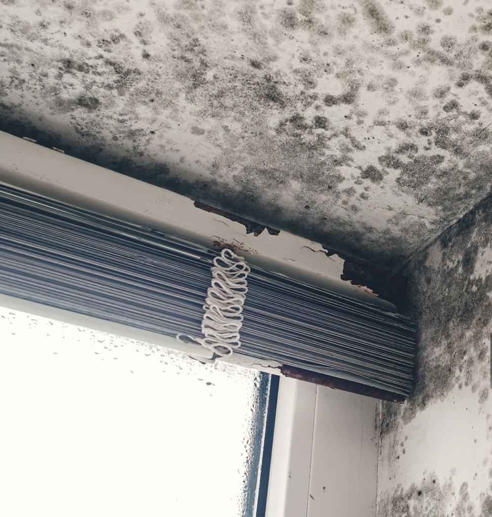 humidite-plafond